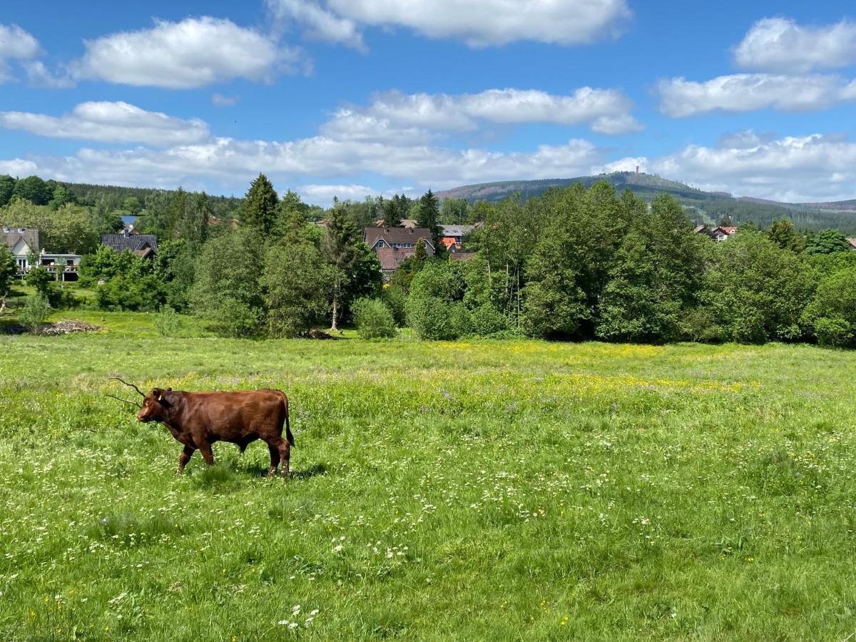 Berglage - Das Urlaubzuhause Apartment Braunlage Bagian luar foto