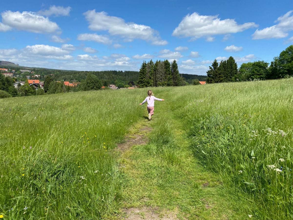 Berglage - Das Urlaubzuhause Apartment Braunlage Bagian luar foto