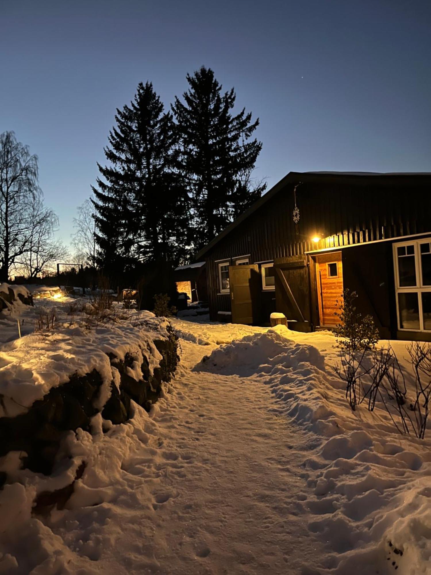 Berglage - Das Urlaubzuhause Braunlage Bagian luar foto