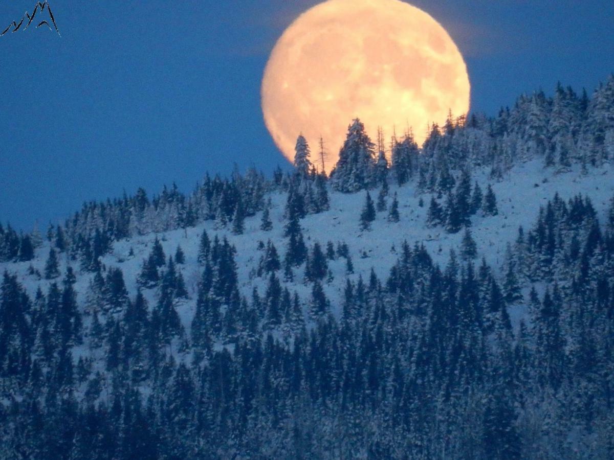 Berglage - Das Urlaubzuhause Braunlage Bagian luar foto